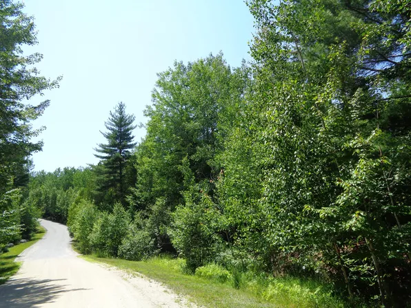 Lot20-20 Bailey Mountain Road, Franklin, ME 04634