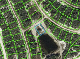 403 Bliss Ave, Lake Placid, FL 33852