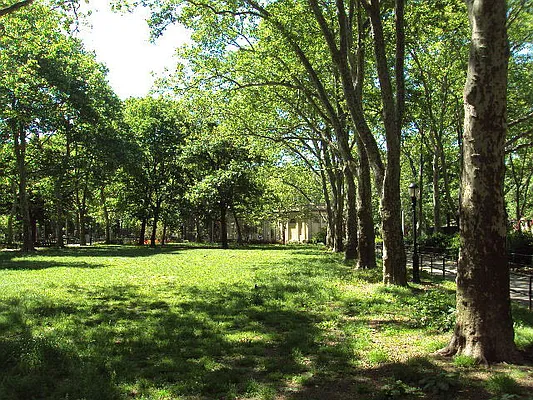 Rented by Bold New York | media 47