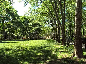 Rented by Bold New York