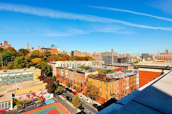 Rented by Nest Seekers International | media 13