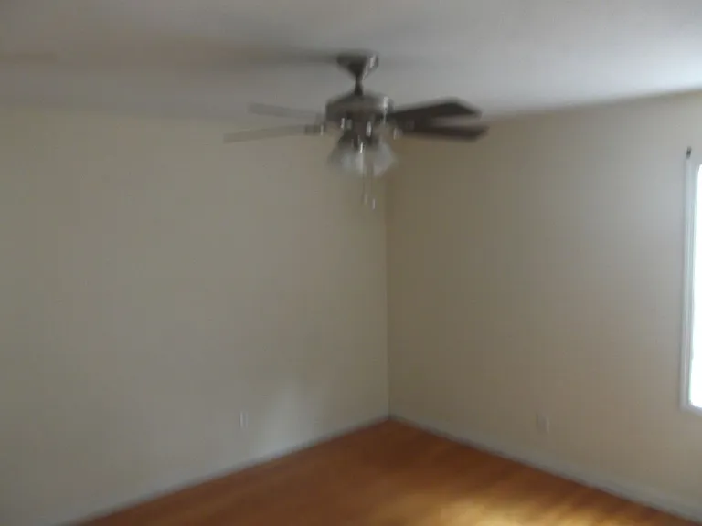 3628 Pine Cone Ln — Photo 10
