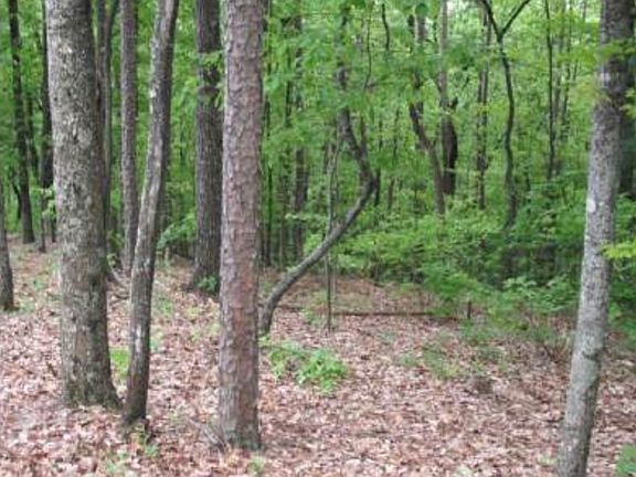 4th image of LOT 17 Abbott Mill Rd