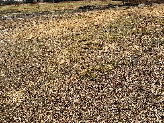 2nd image of 0 County Road 23940