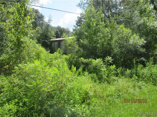 7101 W Wild Oak Pl, Homosassa, FL 34448