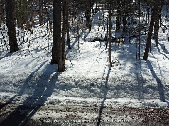 4th image of 44 Ridgeway Dr