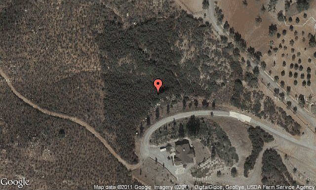 Map View