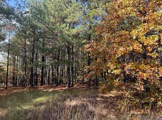 54 Summer Sky Dr, Greenbrier, AR 72058