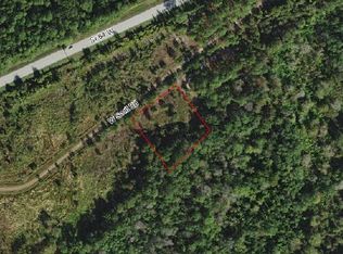 3123 W Scott Rd, Avon Park, FL 33825