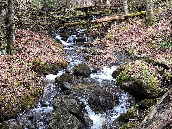 4th image of 1090 Center Road #2