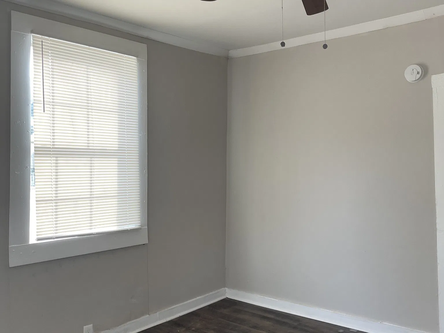 902 Buchanan Street - 1 — Photo 3
