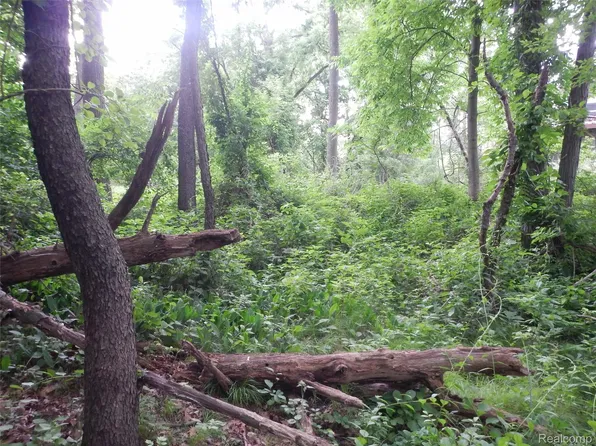 0 Johnson Dr #|-lot 4, Lake Orion, MI 48362