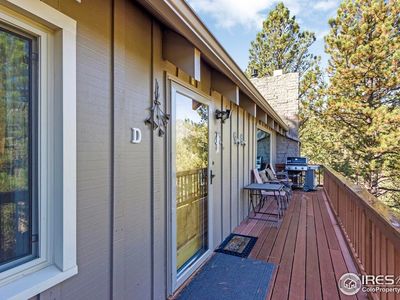 206 Twin Owls Ln, Estes Park, CO, 80517
