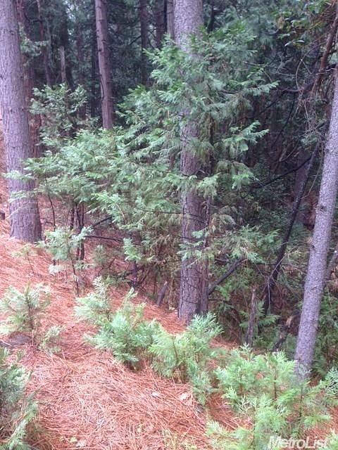 1st image of 25462 Meadow Dr