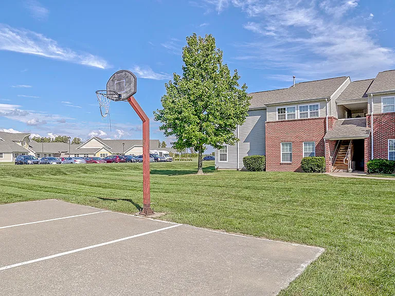 Basketball court