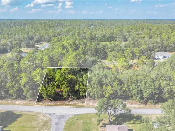 659 W Bancroft Dr, Citrus Springs, FL 34434