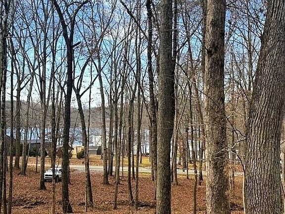 5th image of Lakeview Ln #304