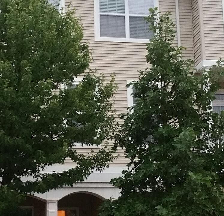 2nd image of 84 Bryce Lane #908
