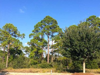 504 Tide Water Dr, Port St Joe, FL, 32456