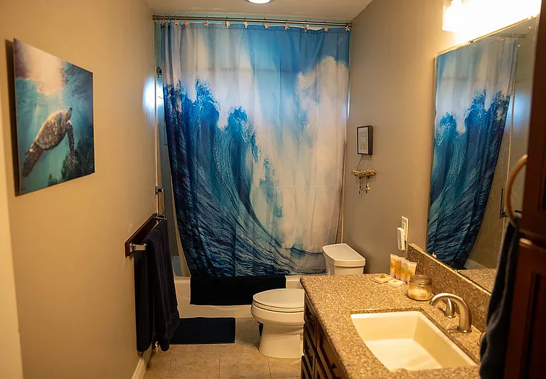 First bathroom located in the hallway (some details like the shower curtains have been changed)