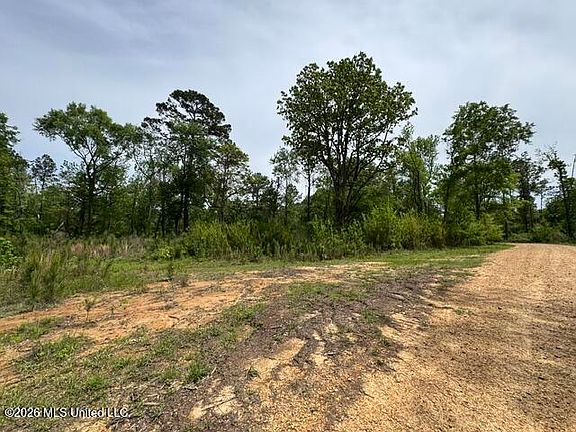 3rd image of 104 Homochitto National Forest Rd