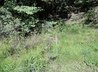 7082 Hunters Valley East Rd, Dungannon, VA 24245