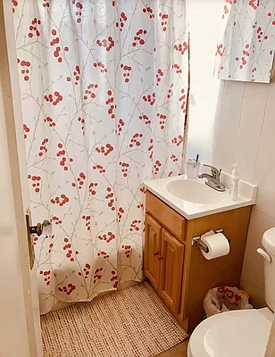 Rented by Voro NYC | media 8