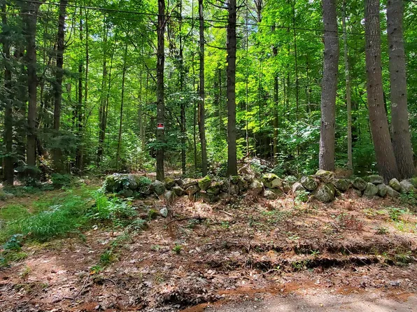 Lot 5 North Wakefield Road, Wolfeboro, NH 03894
