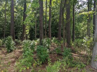 0 Watha Rd, Willard, NC 28478