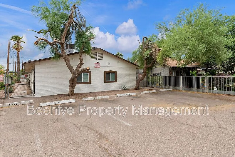 1 bed, 1.0 bath, 480 sqft, $799 — Photo 2