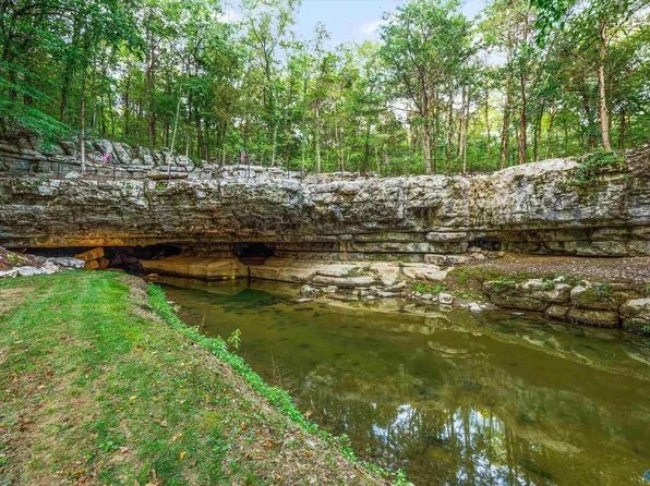 4201 Pleasant Valley Rd, Union Grove, AL 35175