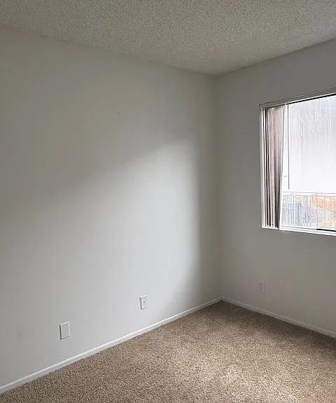 817 Walnut St #19 — Photo 10