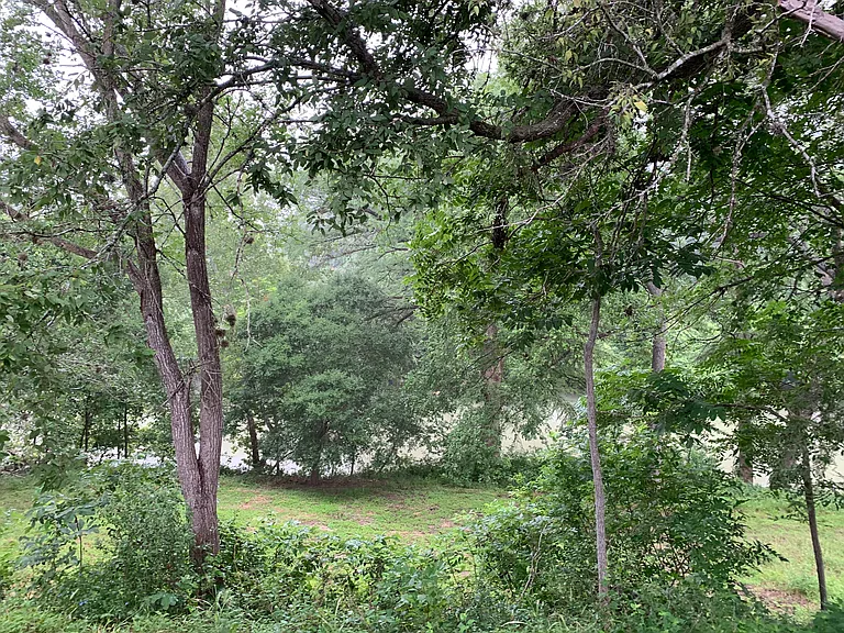 4311 FM 466 — Photo 12