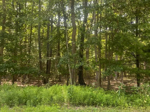 Antler Road Aka Doe Rd #A10, Bartonsville, PA 18321