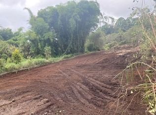 Road 2 LOT 97, Volcano, HI 96785