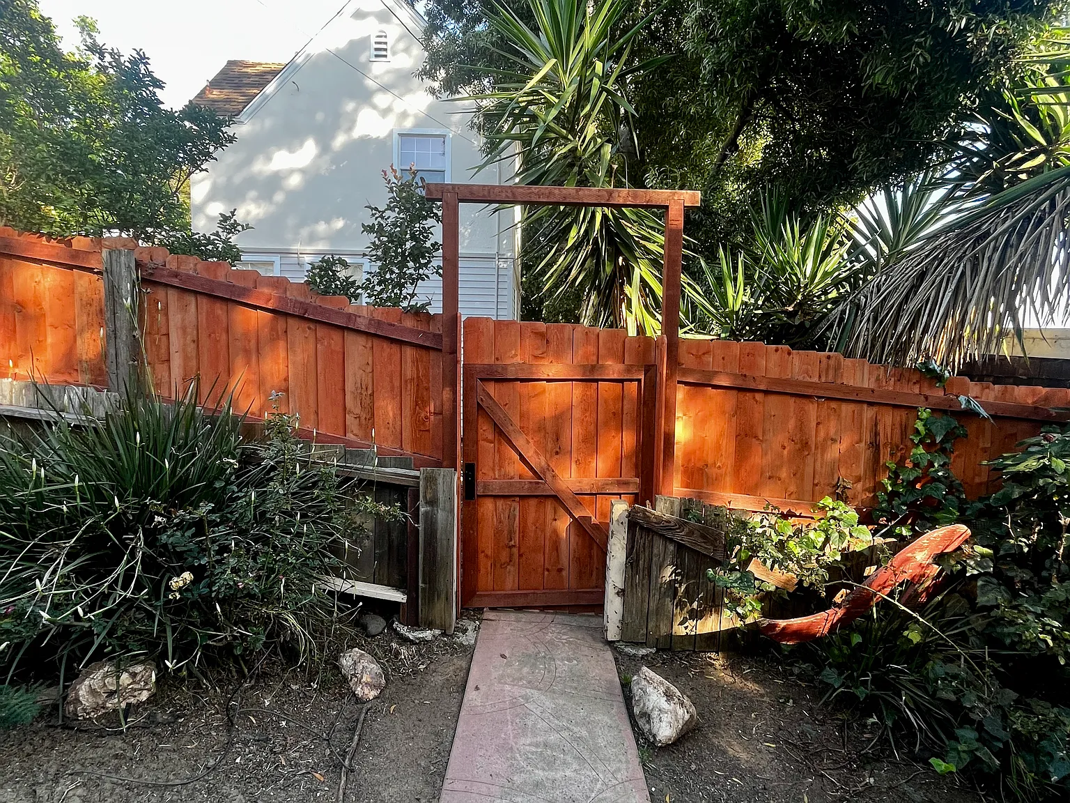 1 bed, 550 sqft, $1,600 — Photo 4