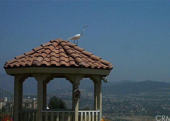 You can anticipate unexpected visitors ... like this!