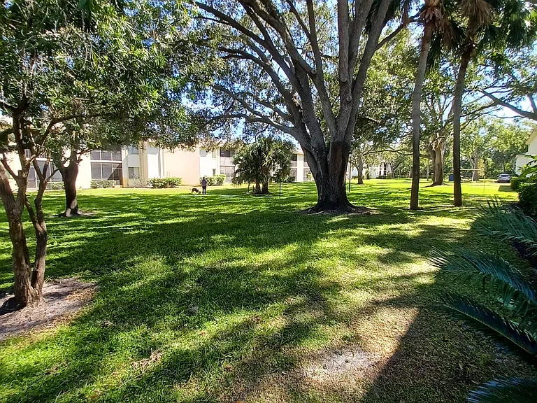 Palmetto Ct — Photo 24