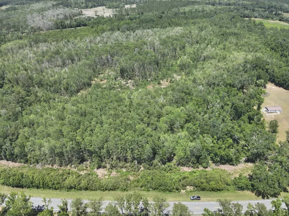 0 W Us Highway 90, Greenville, FL 32331