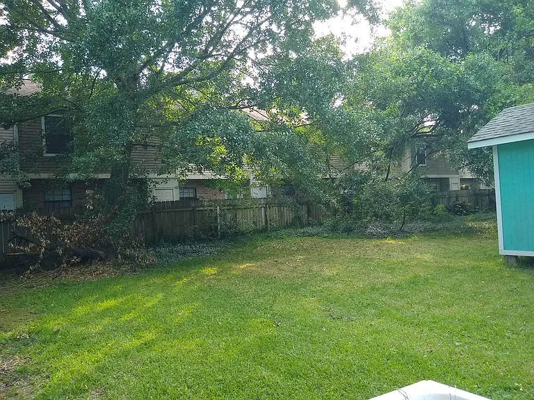 Big back yard with mature trees and back fence