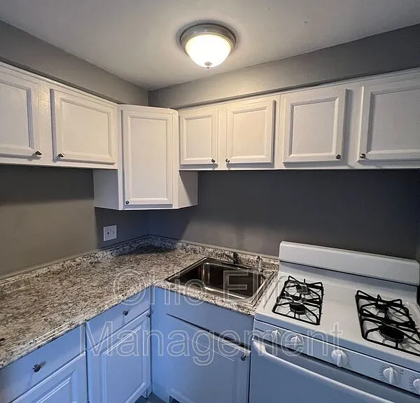 397 1/2 S Ogden Ave — Photo 10