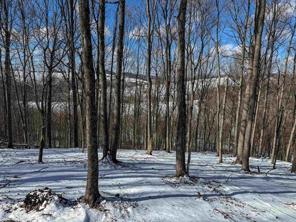 Paw Paw Ave, Rivesville, WV 26588