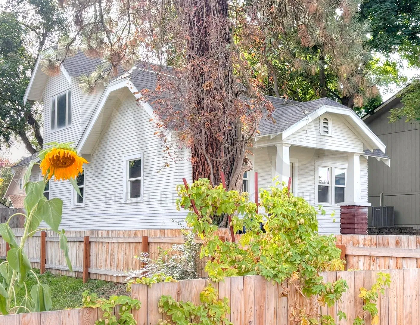 Furnished Perry District Bungalow — Photo 2