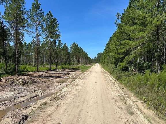 3rd image of 1000 Firetower Rd Lot 4