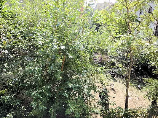 Rented by DSA Realty | media 20