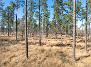 Red Lowe Rd, Livingston, TX 77351