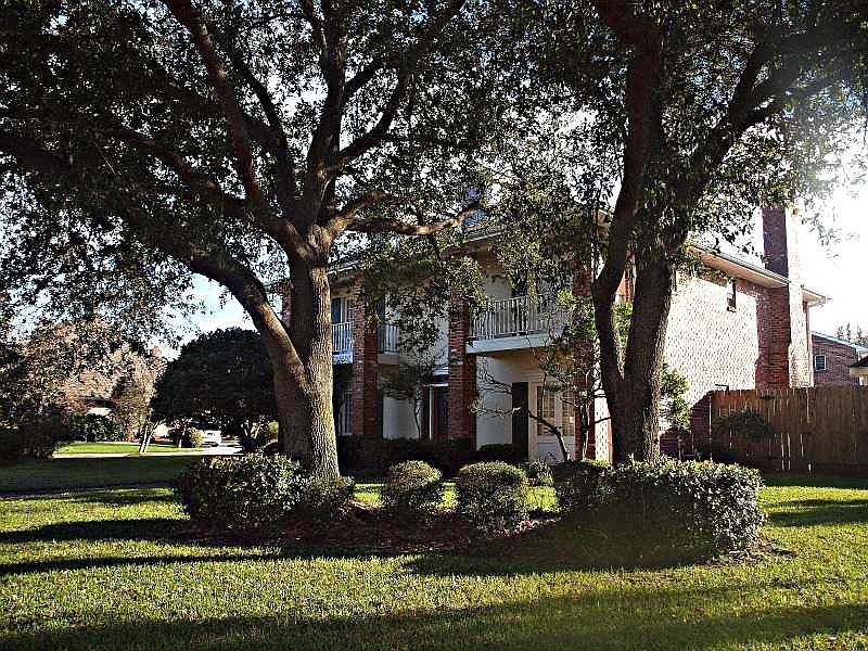 1st image of 3013 Palm Vista Dr