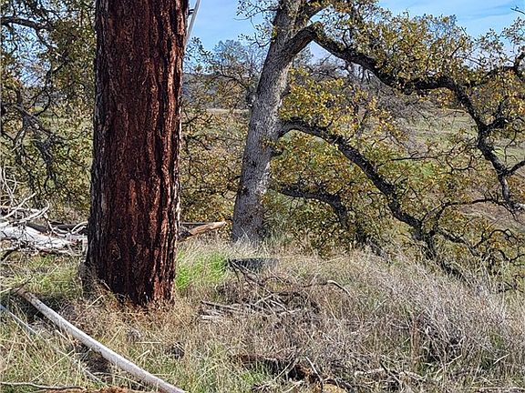 2nd image of 0 Cottonwood Creek Rd Lot 264