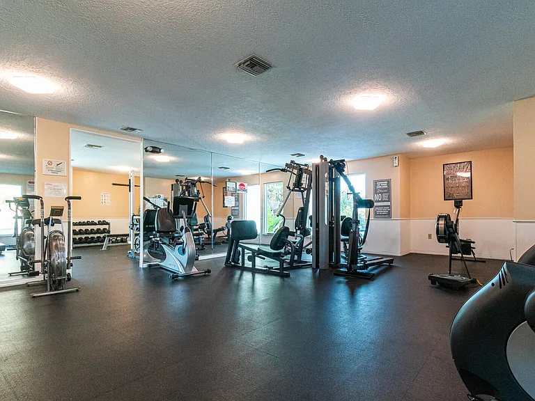 Exercise equipment, rowing machine, treadmills, eliptical machine, bike and more.