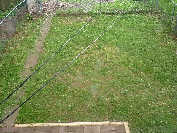 Yard and Offstreet Parking